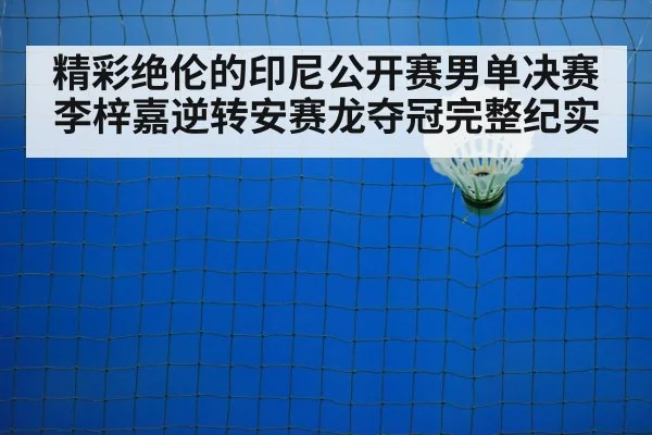 badminton net shot